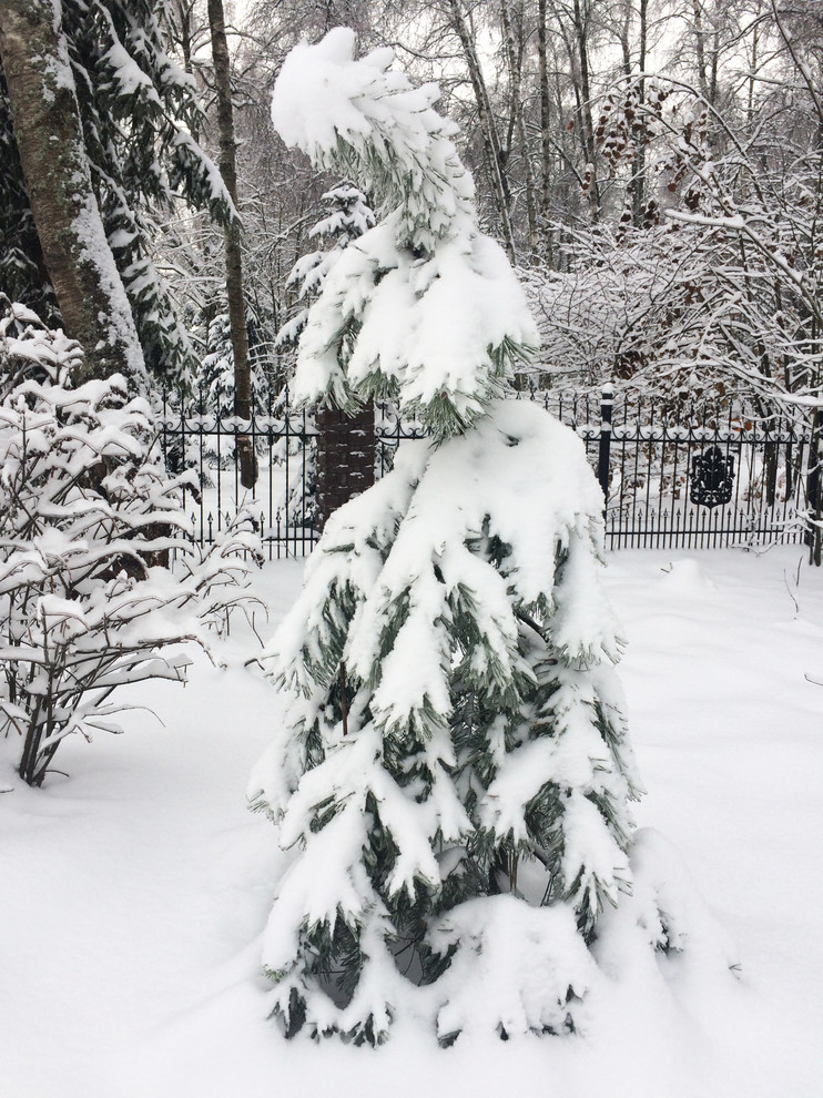 Зимний ландшафт