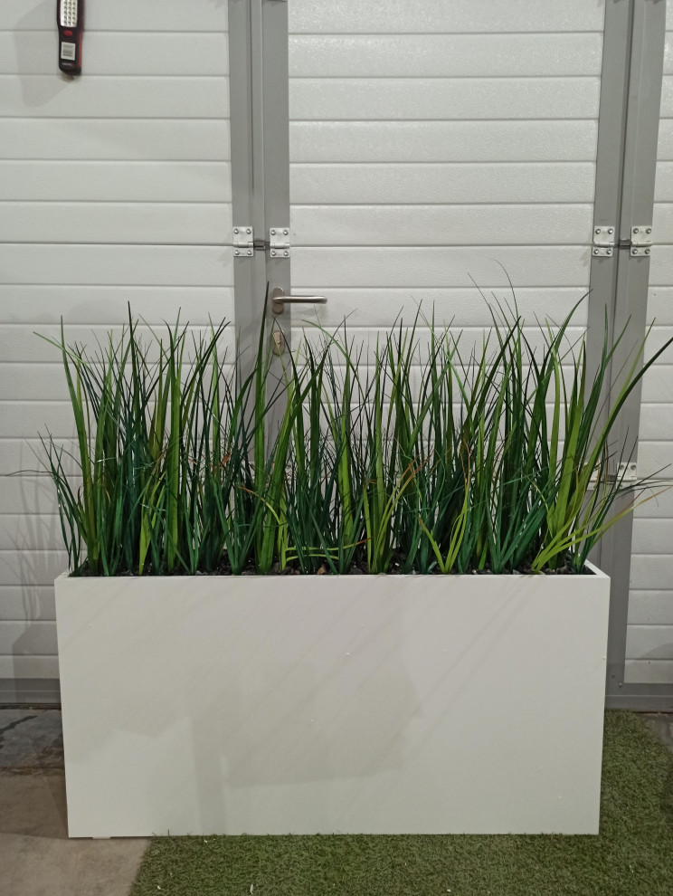 Обложка проекта: Трава осока (контейнерное озеленение)