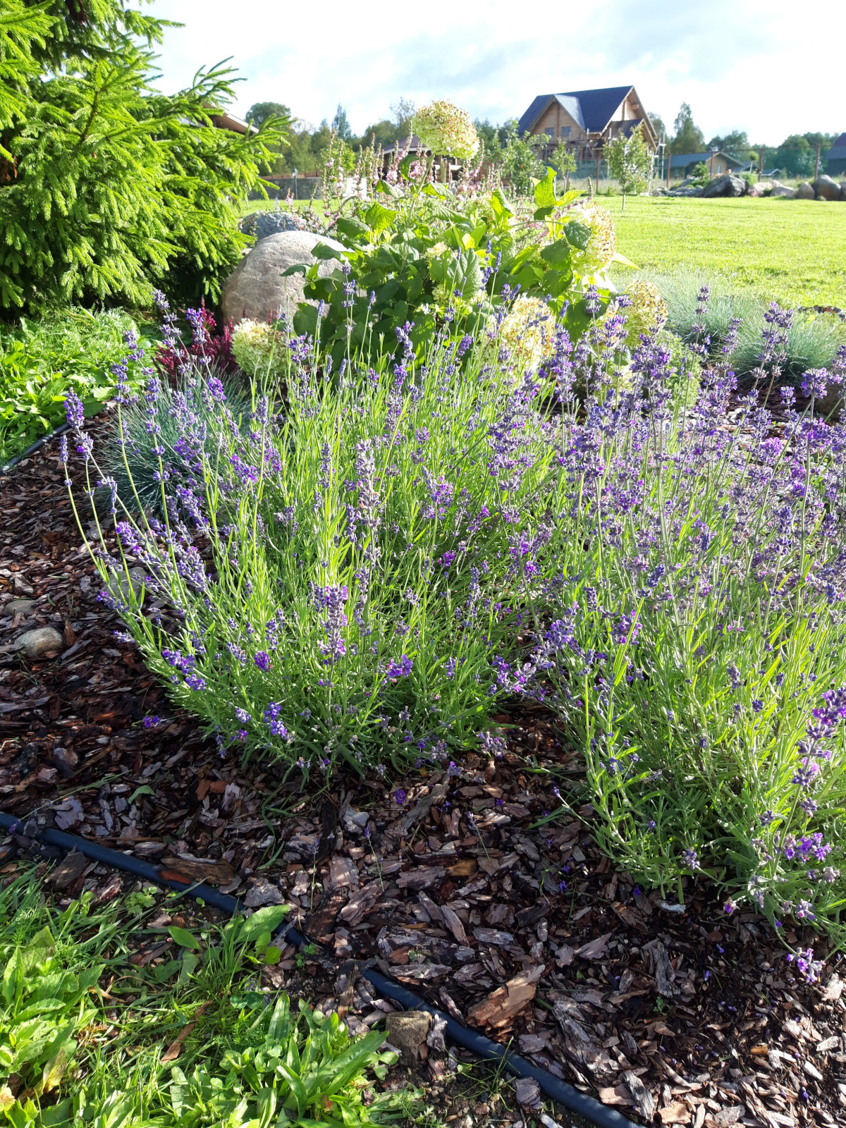 Обложка проекта: Сухой ручей