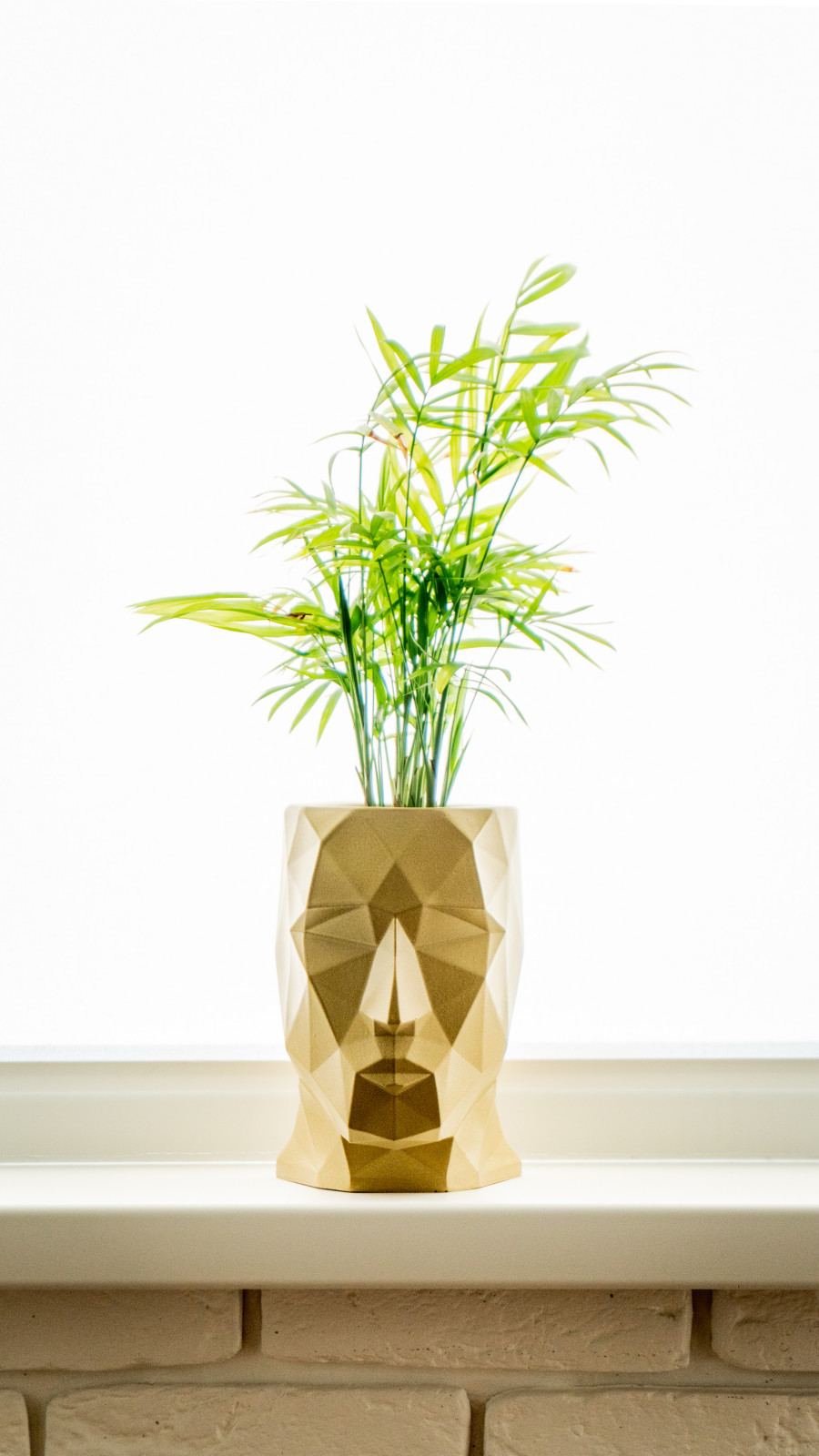 Квартира для молодой девушки