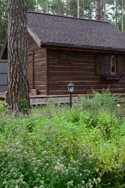 «Пряничный домик» в сосновом бору