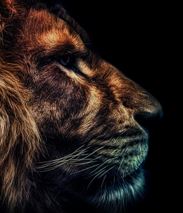 Алексей Батманов