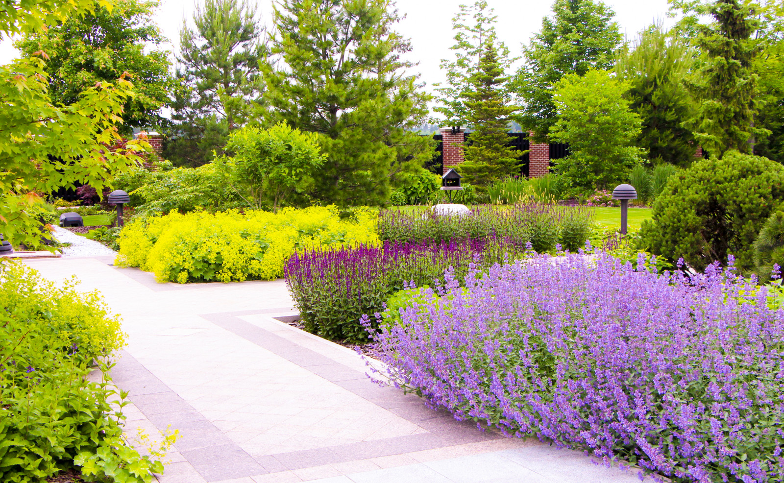 Горки-10, 2017-2020 г.г.