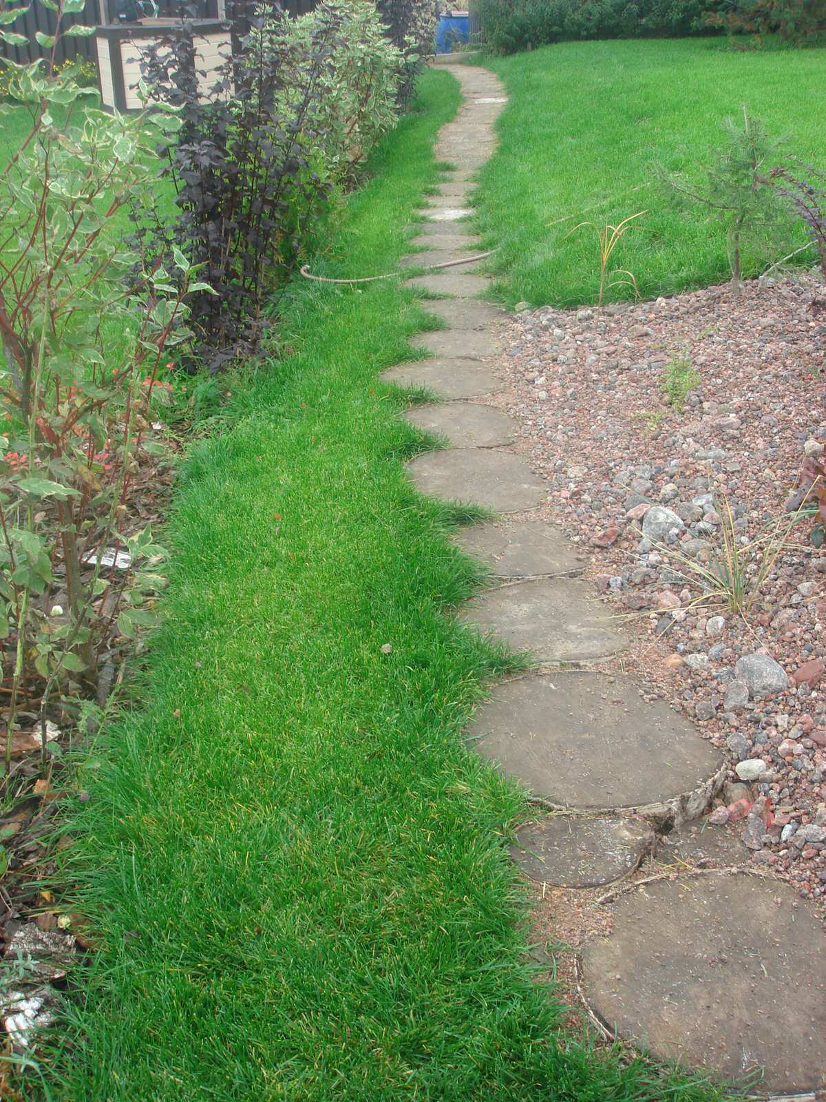 Обложка проекта: Сад в стиле кантри