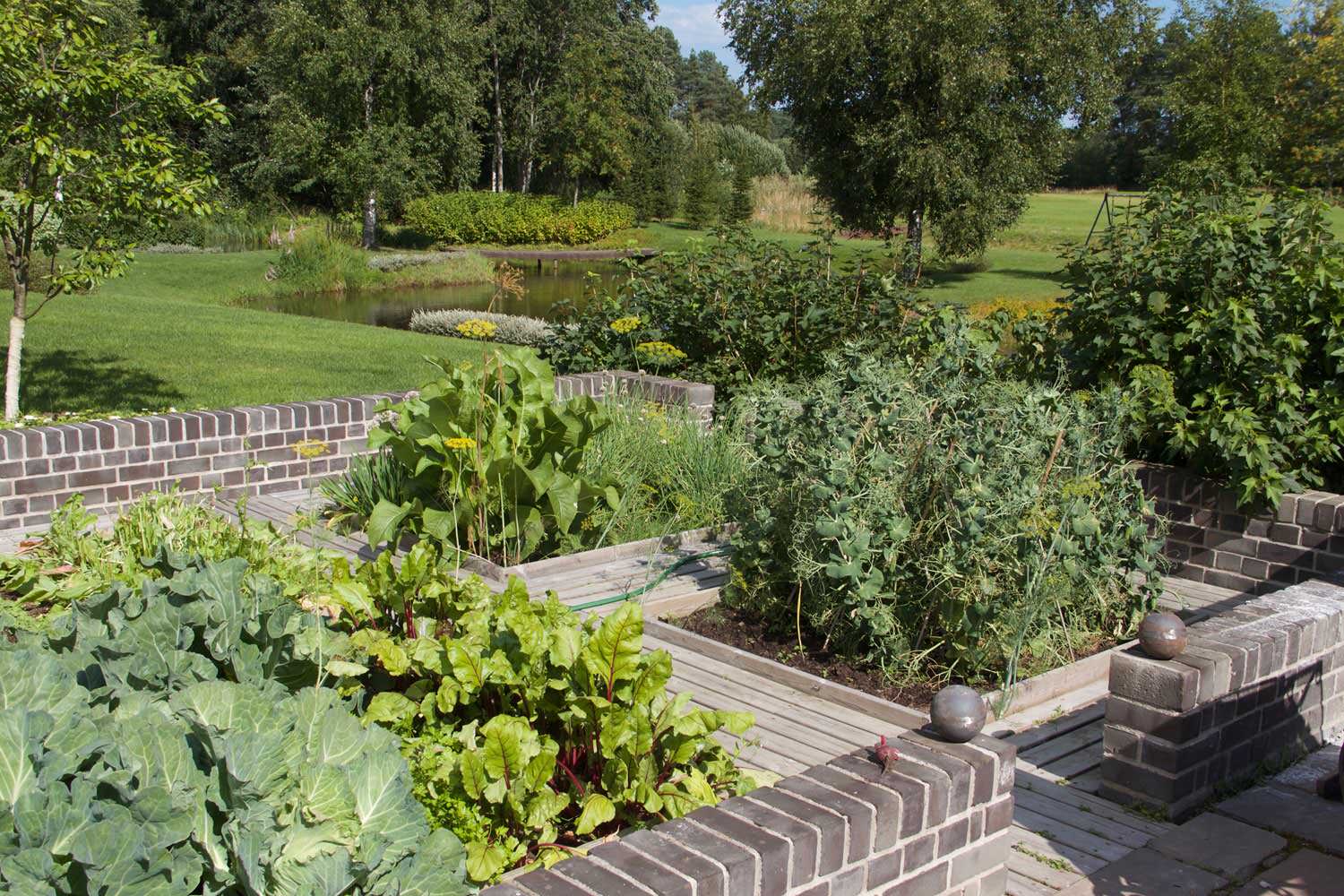 Обложка альбома: огороды