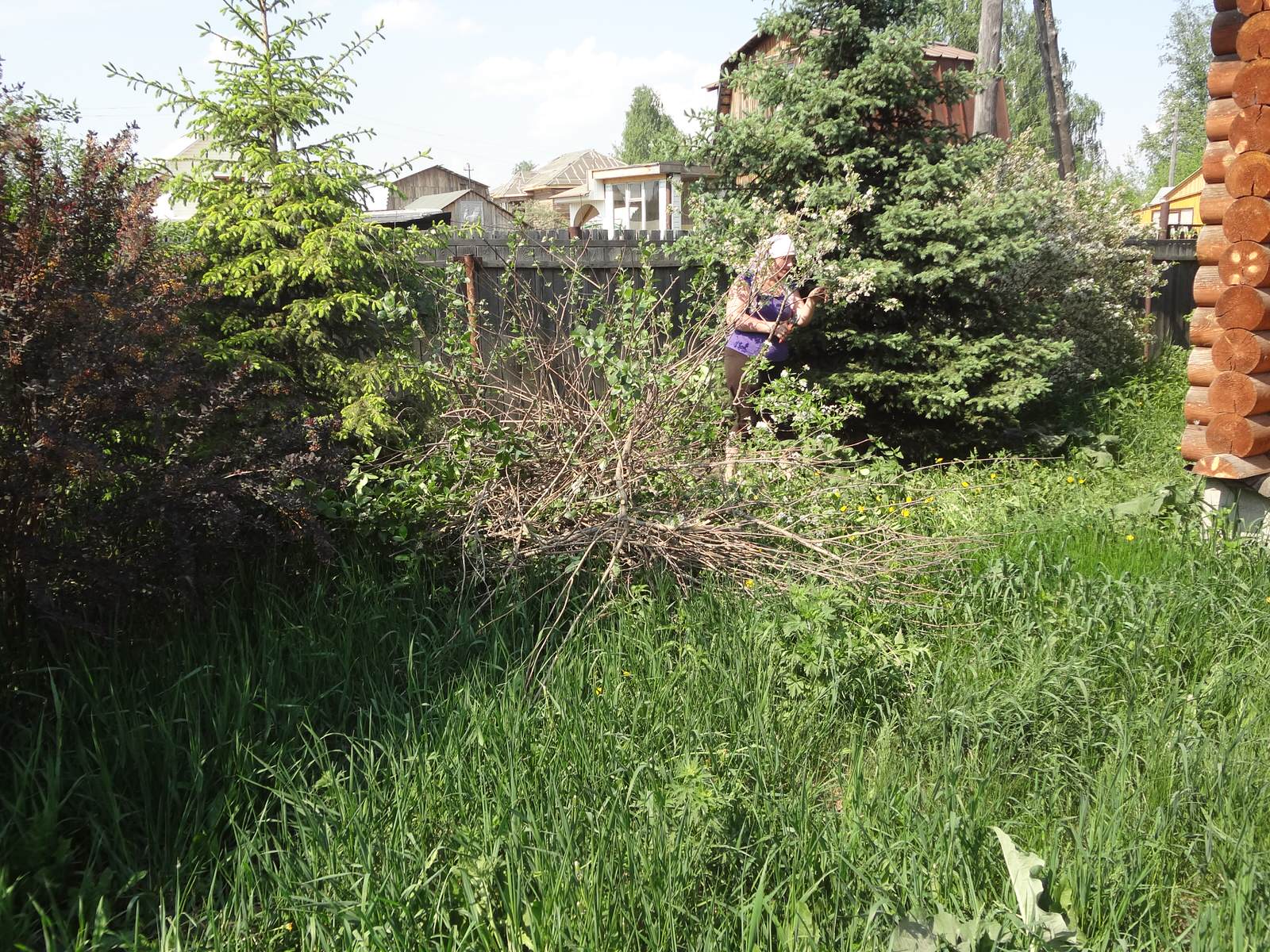 подготовка к сезону . Уход всесезонный