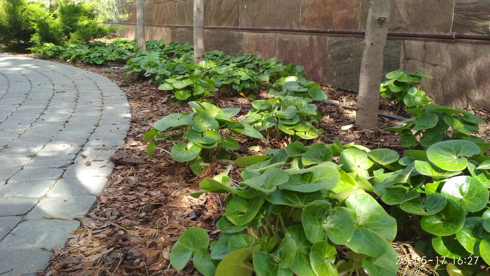 кп "Мартемьяново" - Профессиональный уход за садом - 100% качество!