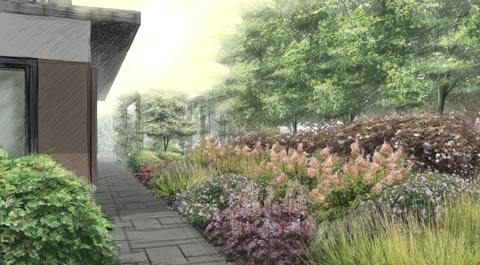 Лесная рапсодия