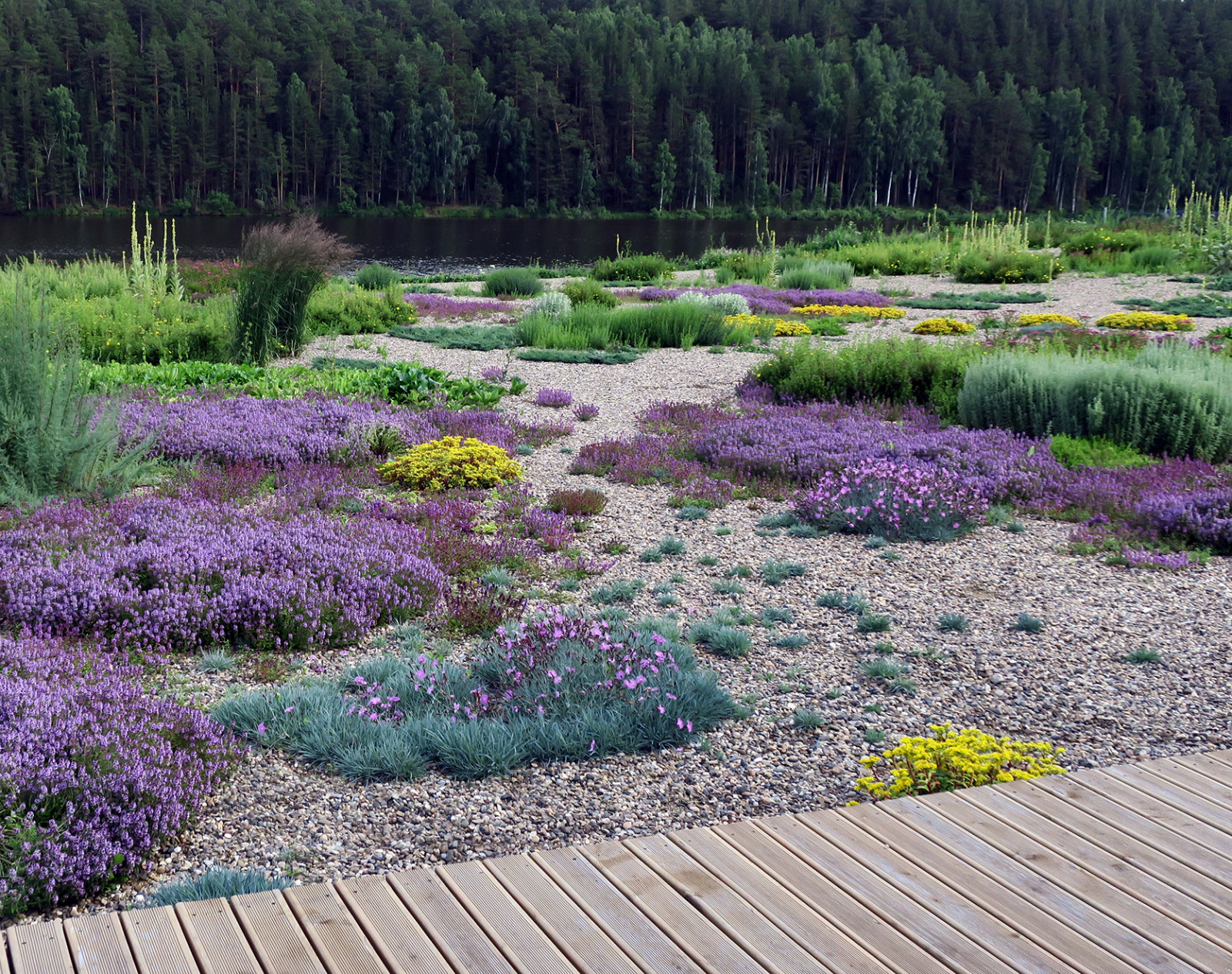Полынный берег