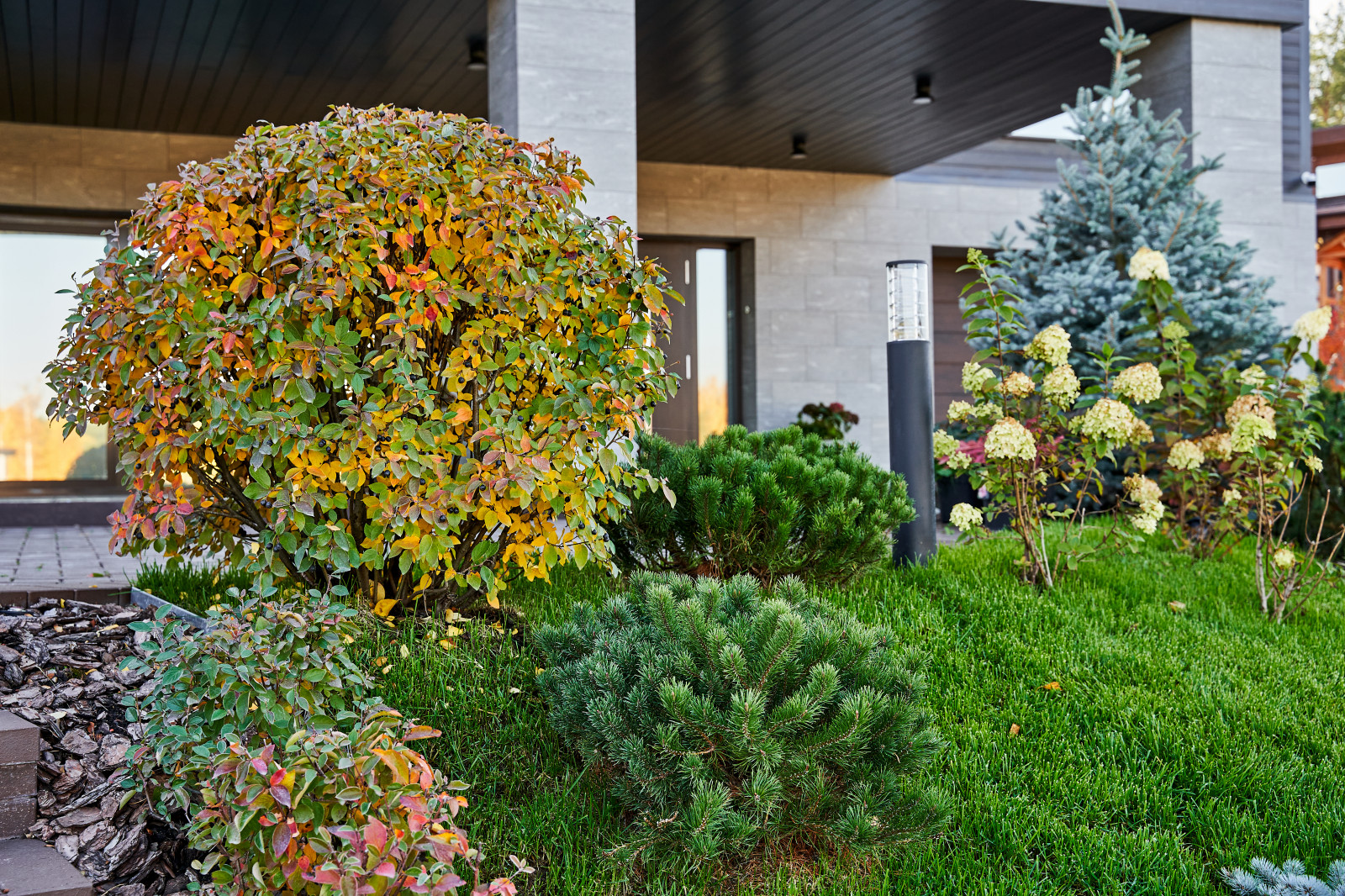 Сад холмов и склонов