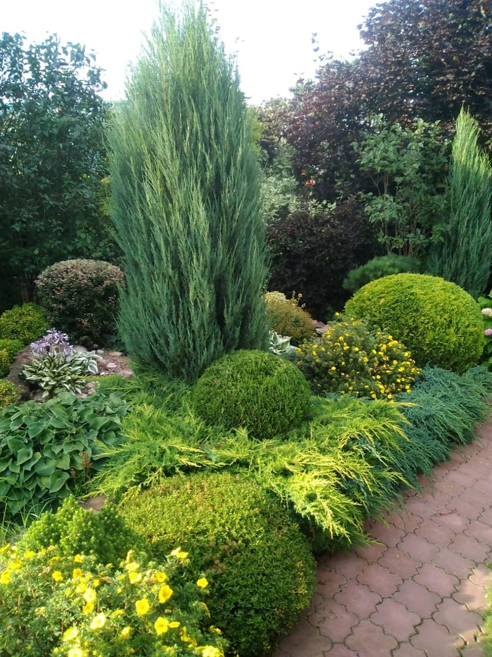 Примеры работ