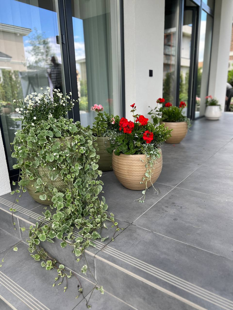 Обложка проекта: КП Новорижский