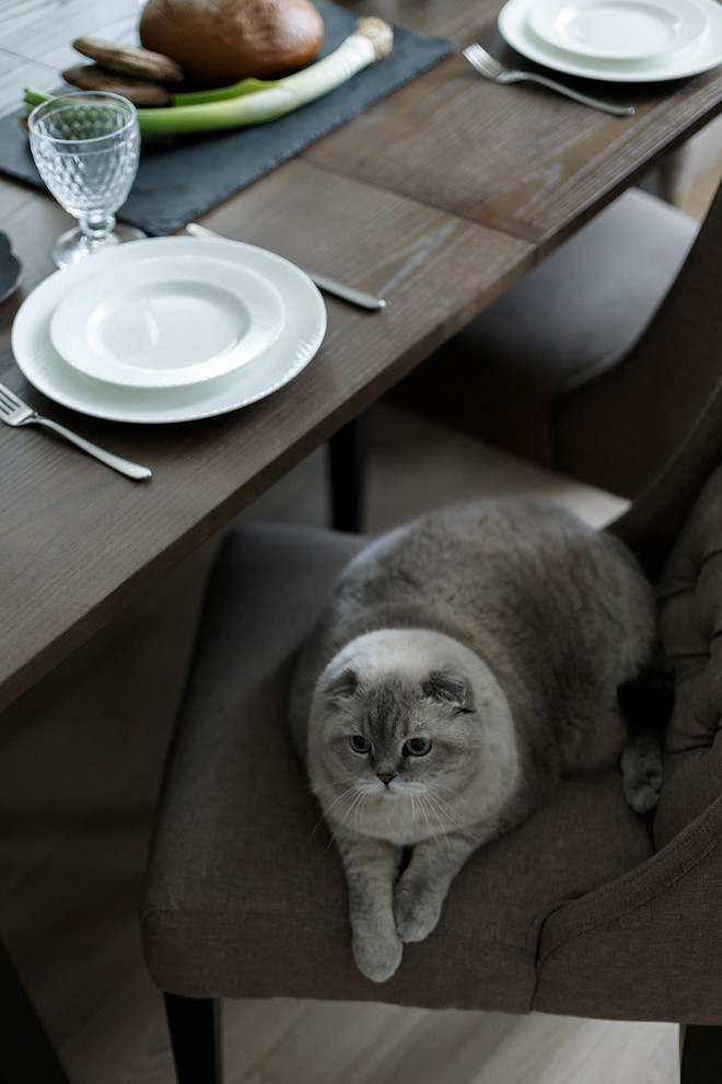 Рецепт яркой жизни