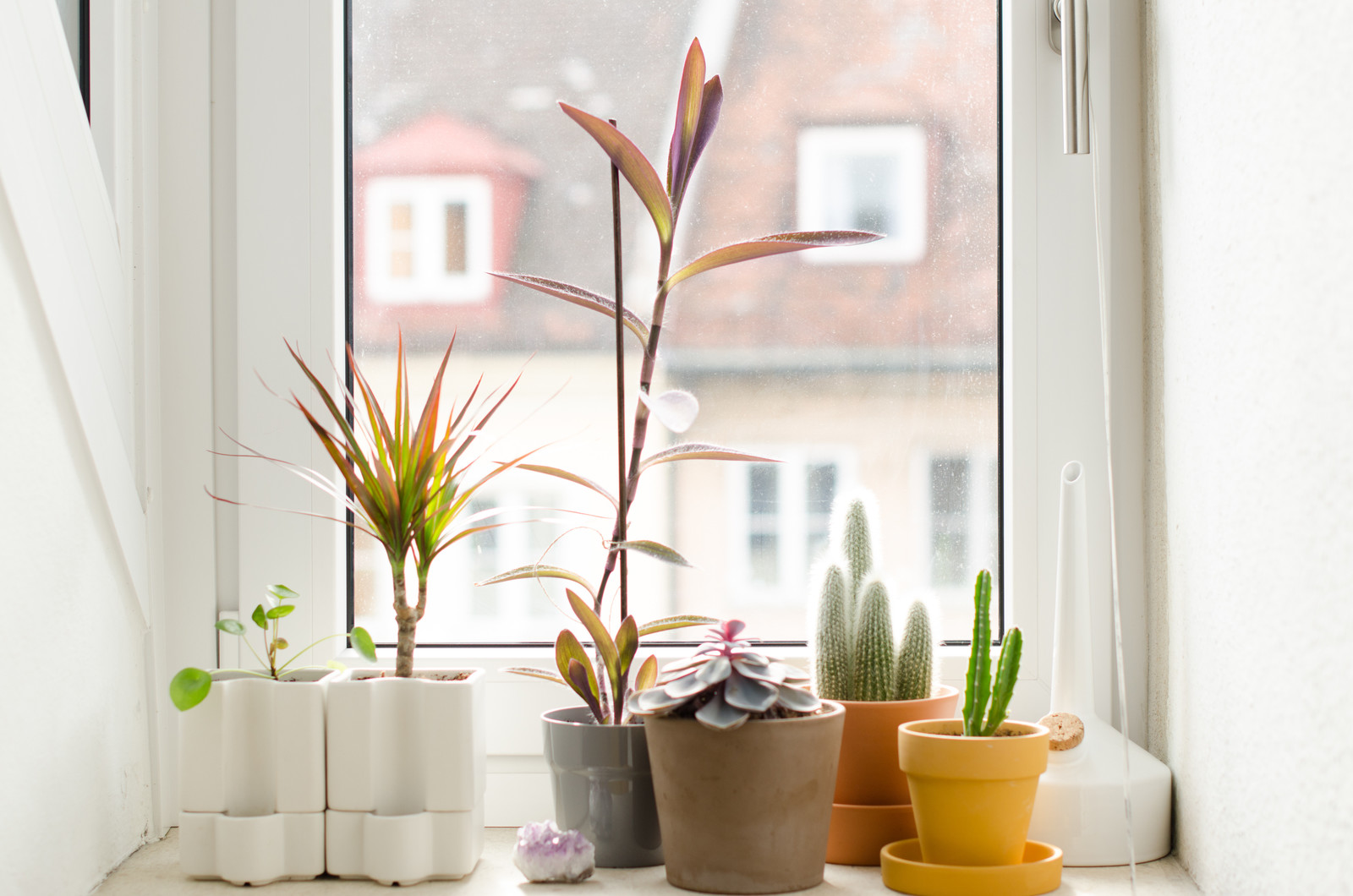 Обложка статьи: Горшок VS кашпо: Разница не только в дренажном отверстии