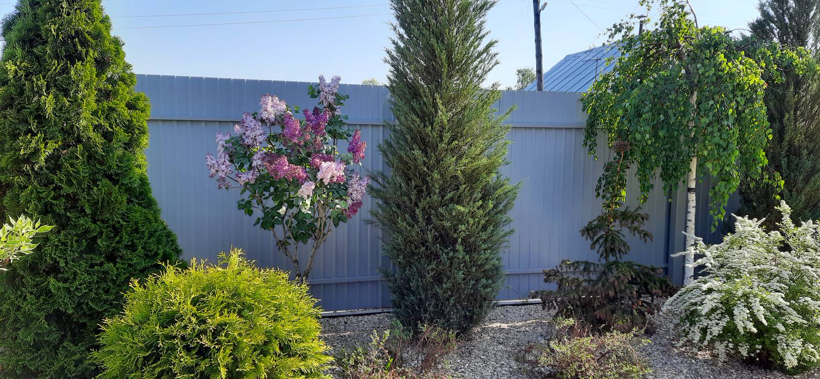 Фотографии с объектов