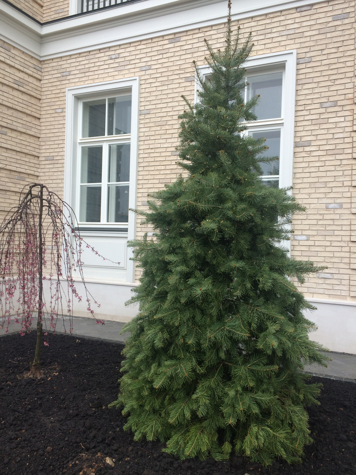 От приезда фуры до готового результата