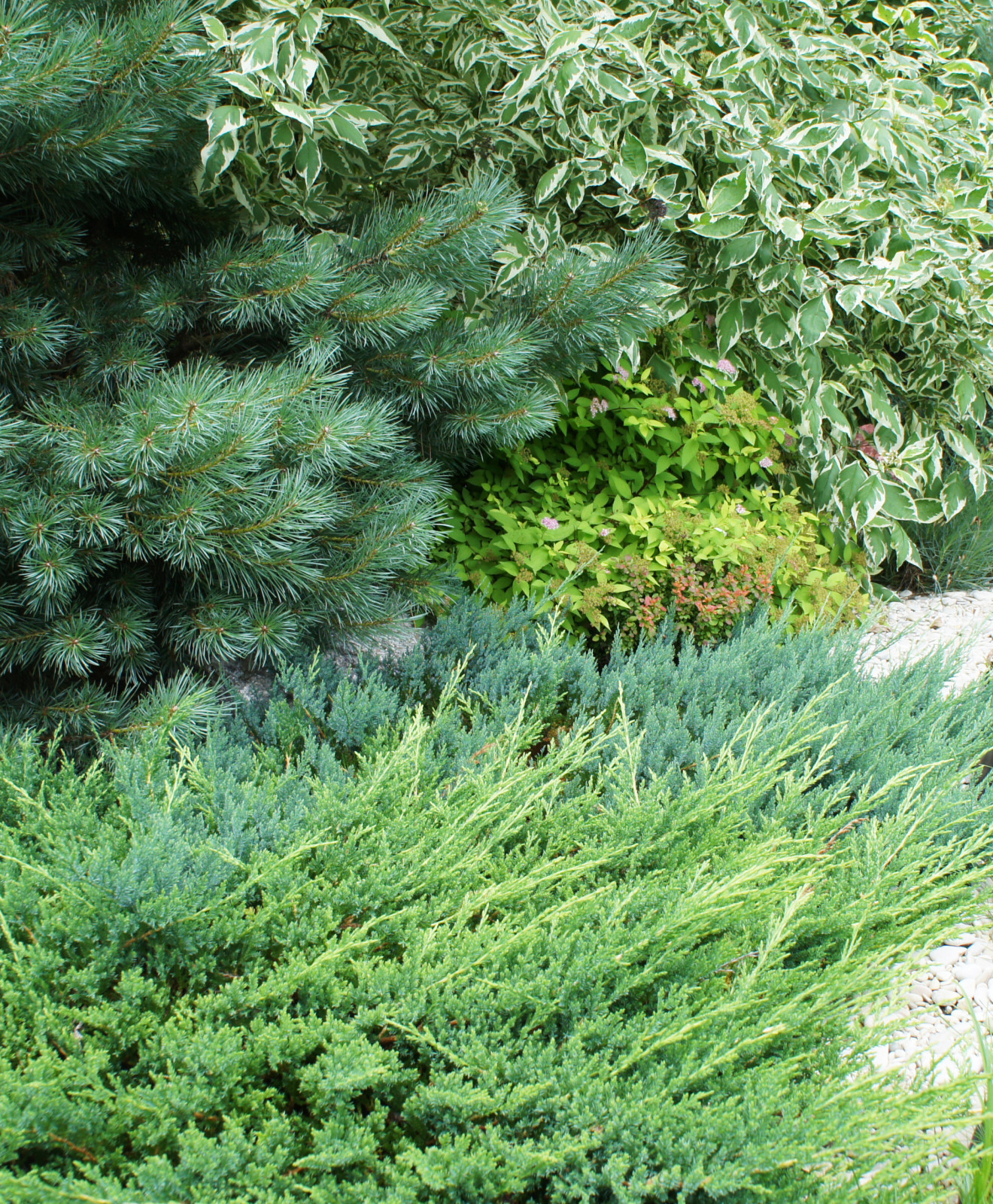 Участок 30 соток