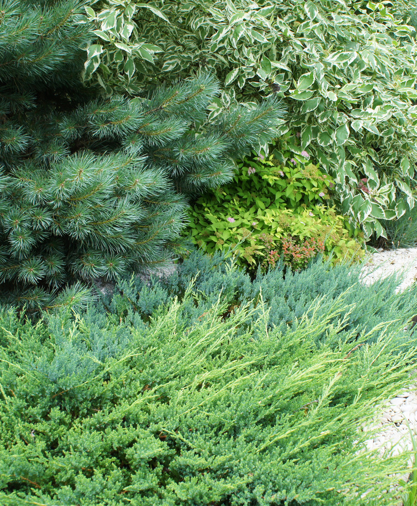 Участок 30 соток