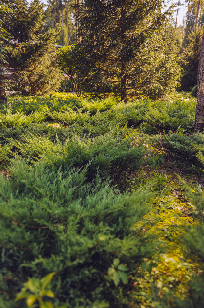 Архитектурное Решение в Пейзажном Стиле
