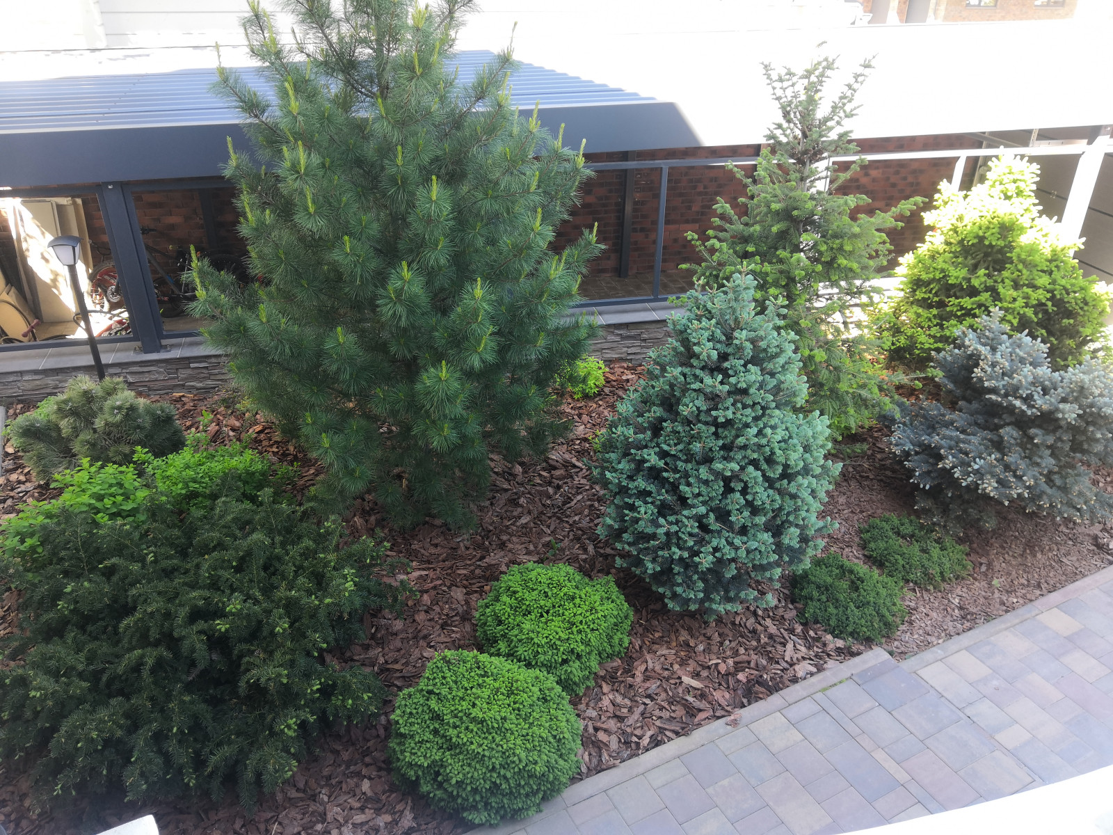 Landscape design of the territory (Moscow region, Sareevo village)