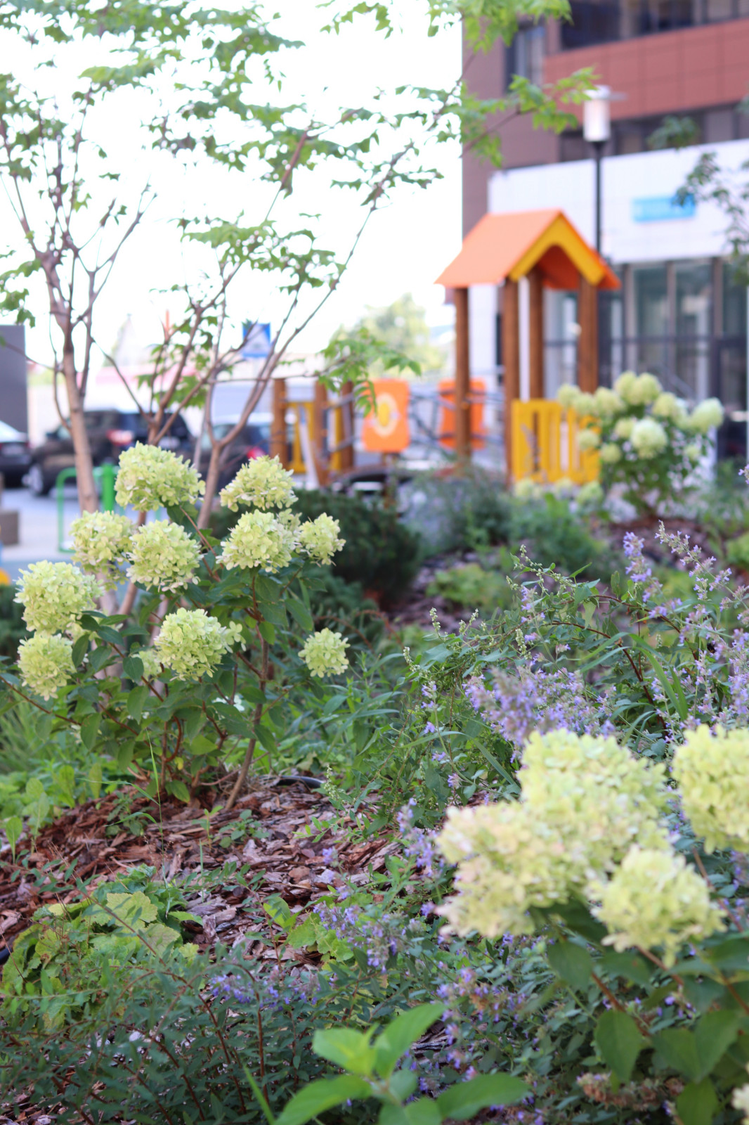 ЖК "Европейский"