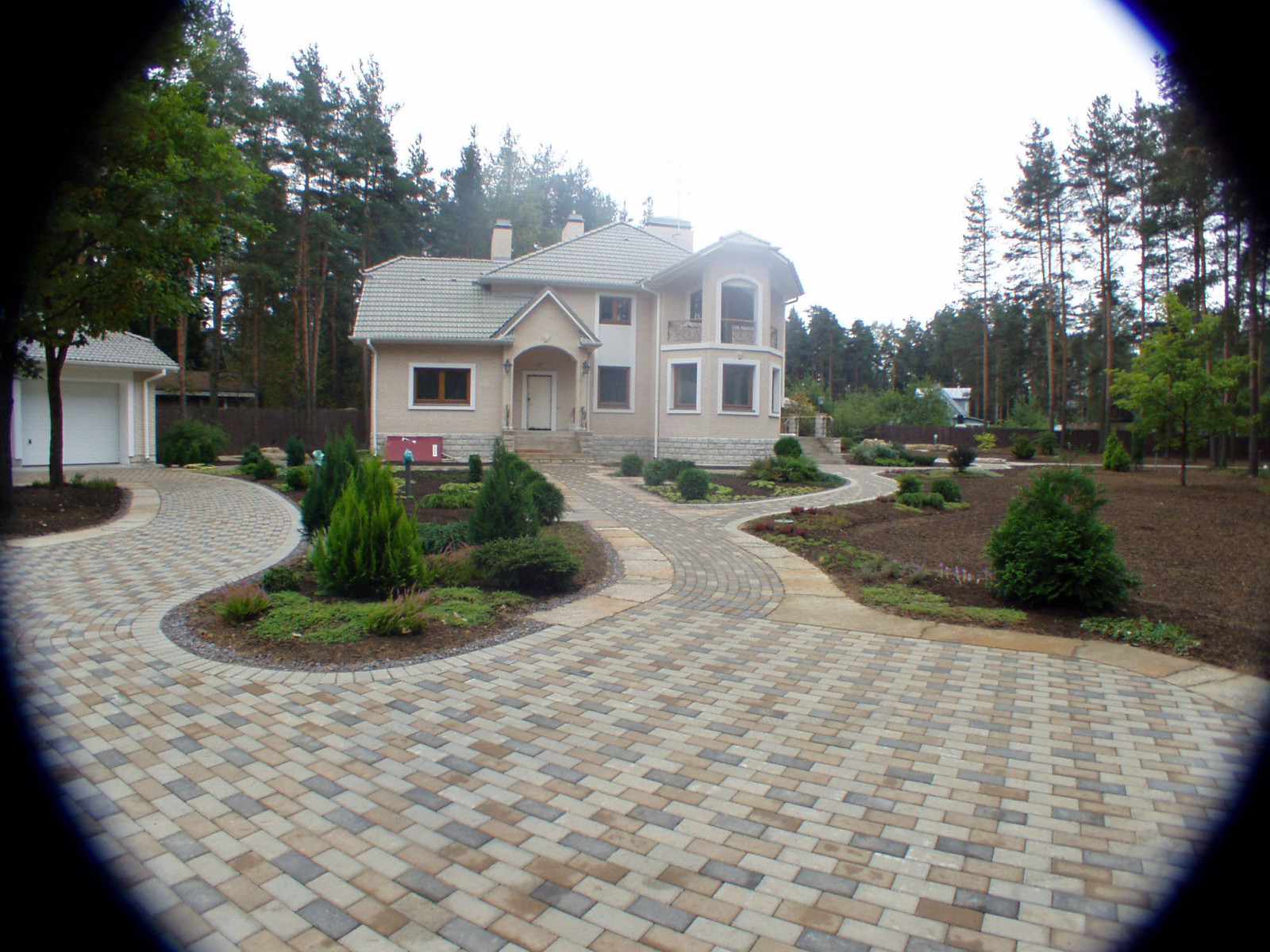 Обложка проекта: лесная зона