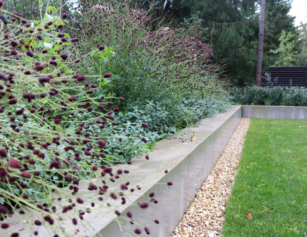 ДНП Ветеран