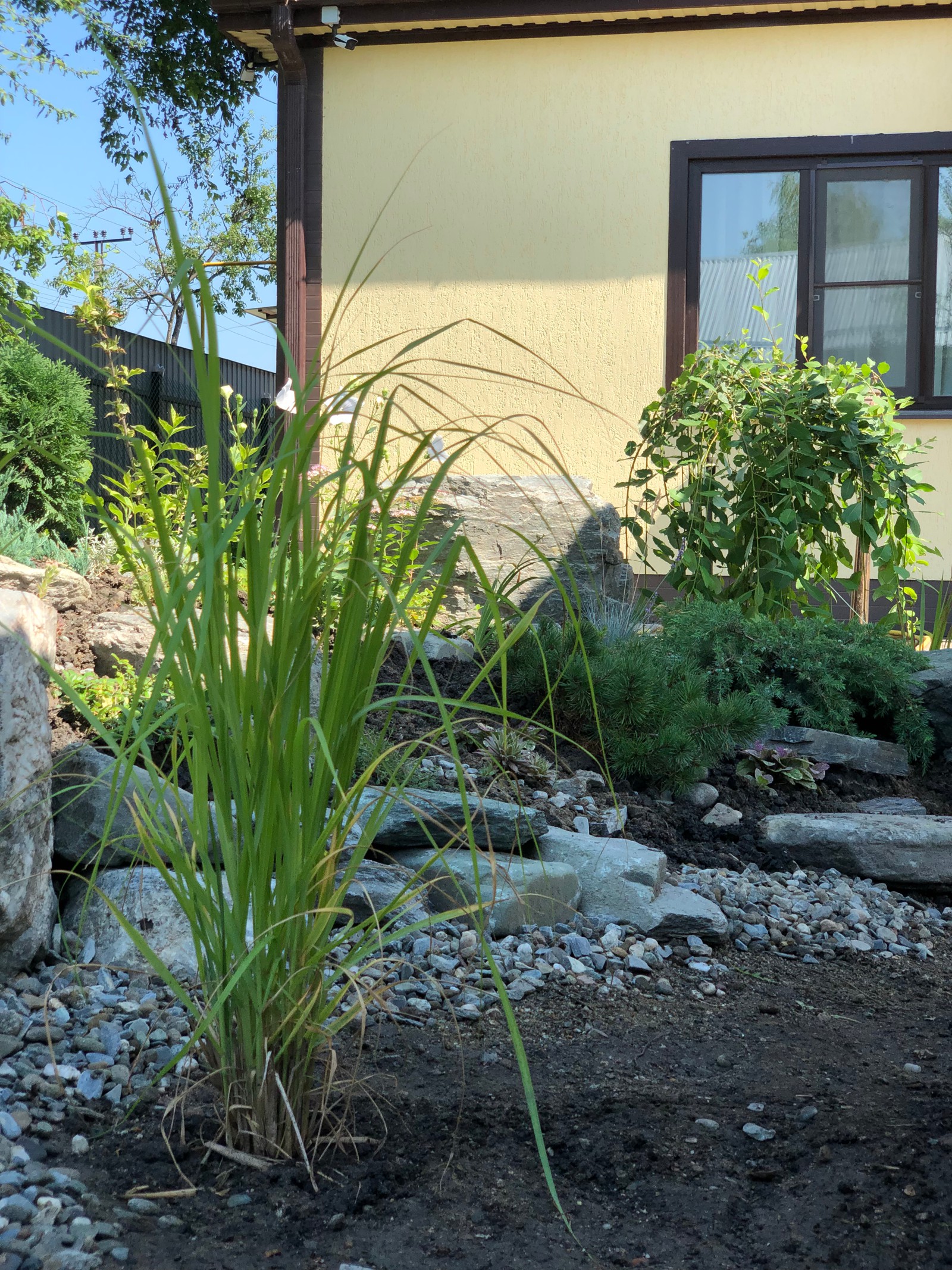 Привет, станица!