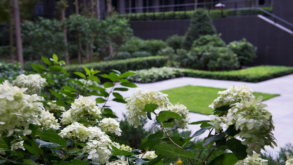 Сад пять уровней комфорта