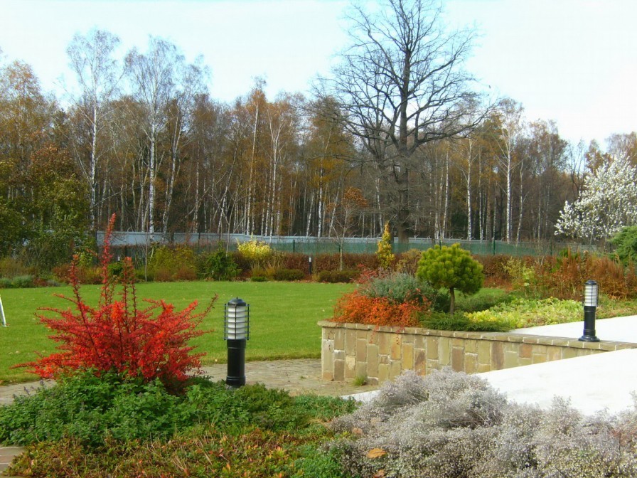 Осенние краски .