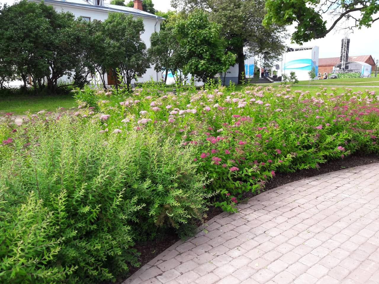 Валаам...Земля -загадка ..и большая наша любовь