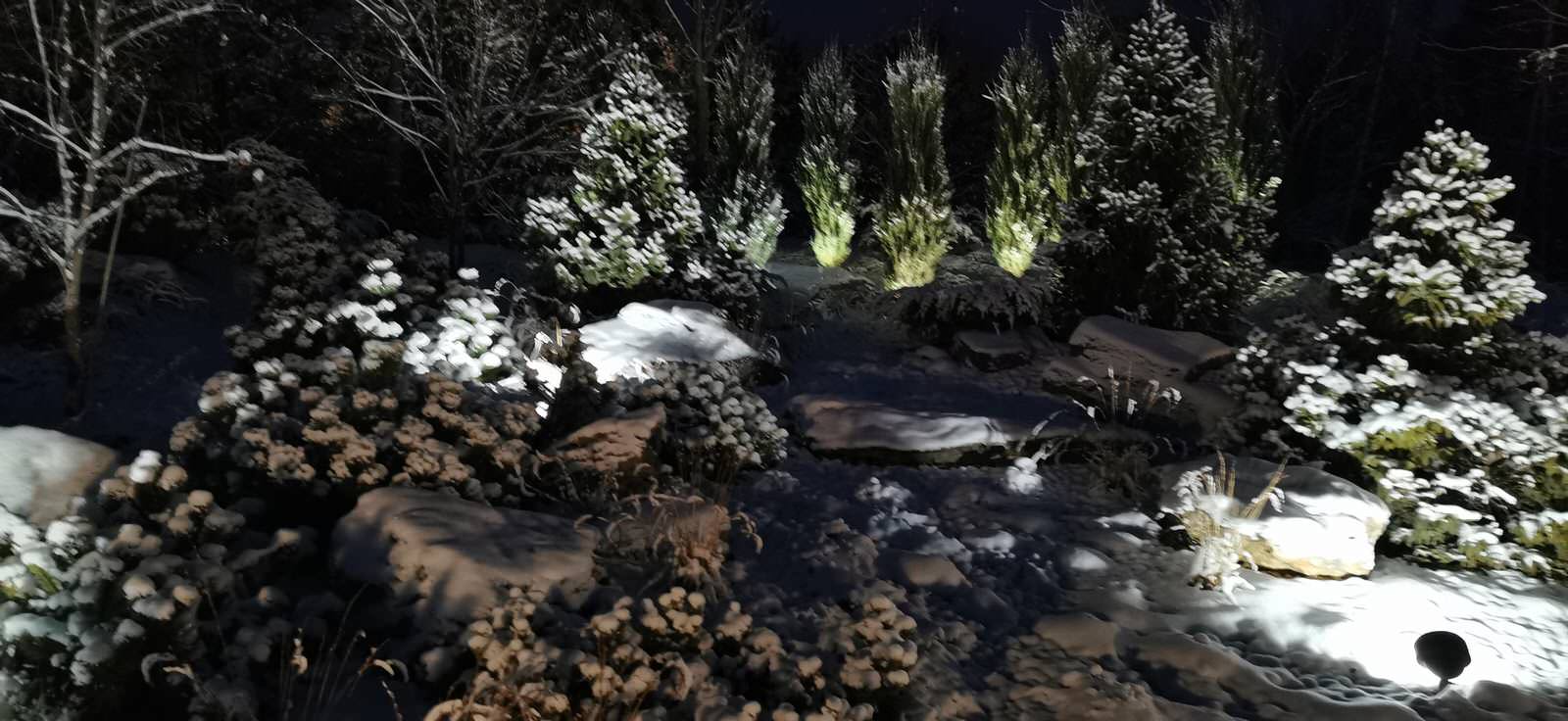 Лесное озеро