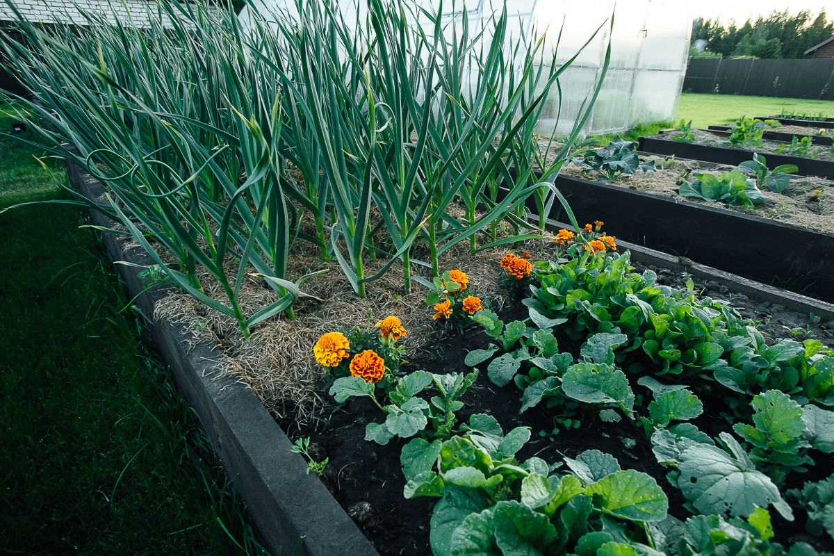 Равновесие