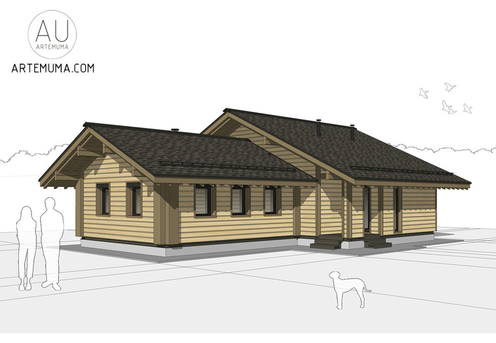 Обложка проекта: Реконструкция дома в Туле