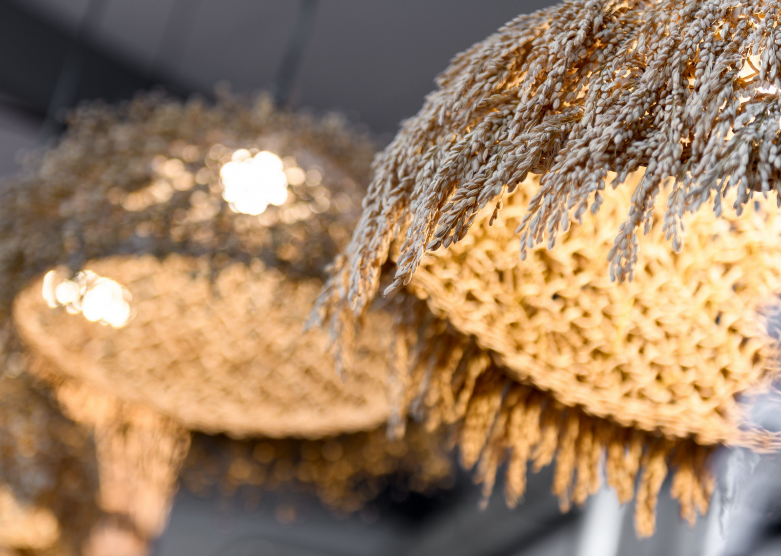 Обложка проекта: Лаки Пицца