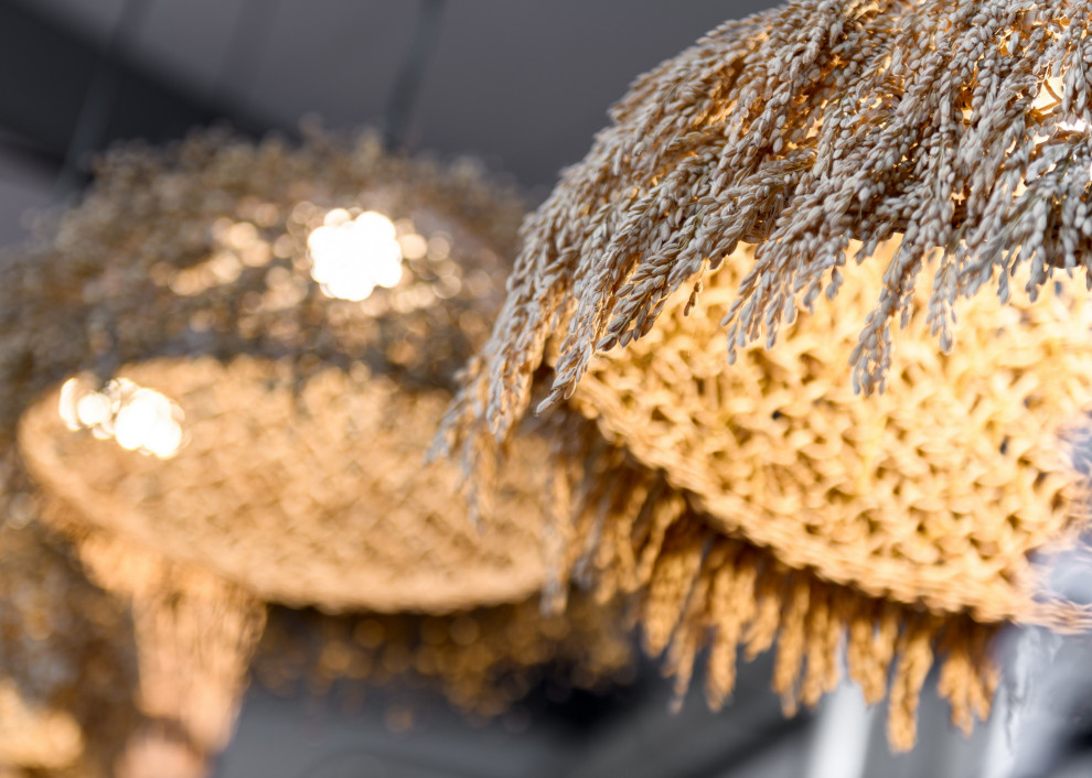 Обложка проекта: Лаки Пицца