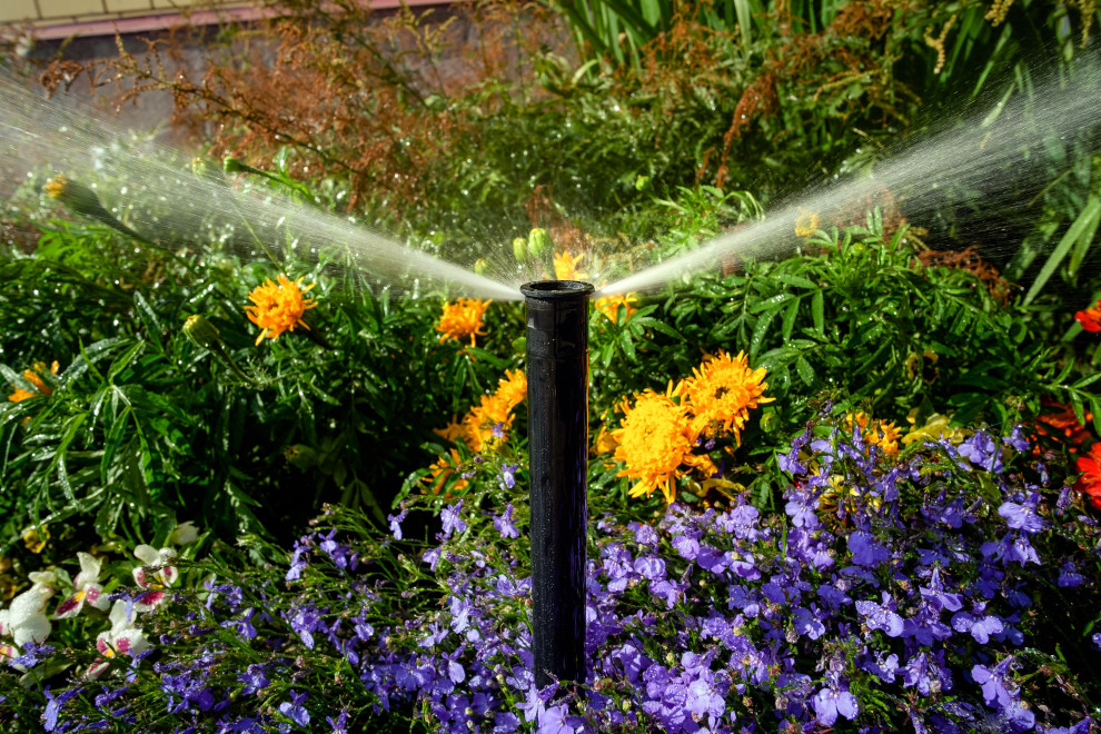 Примеры работ