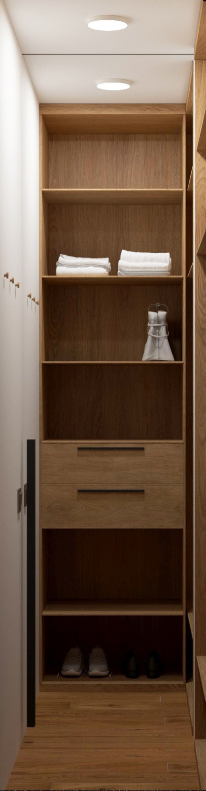 Проект квартиры в Москве, джапанди