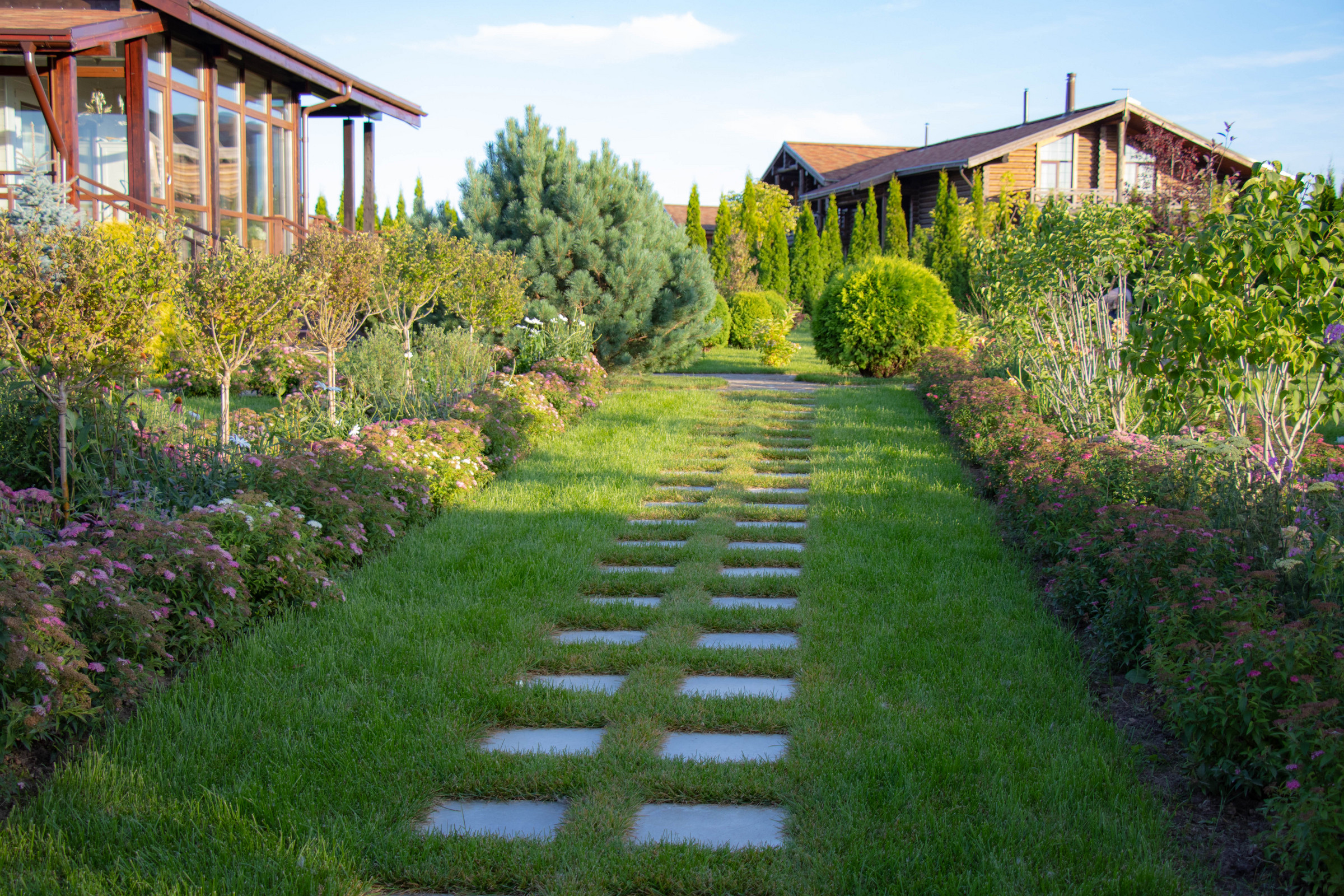 Сосновые берега