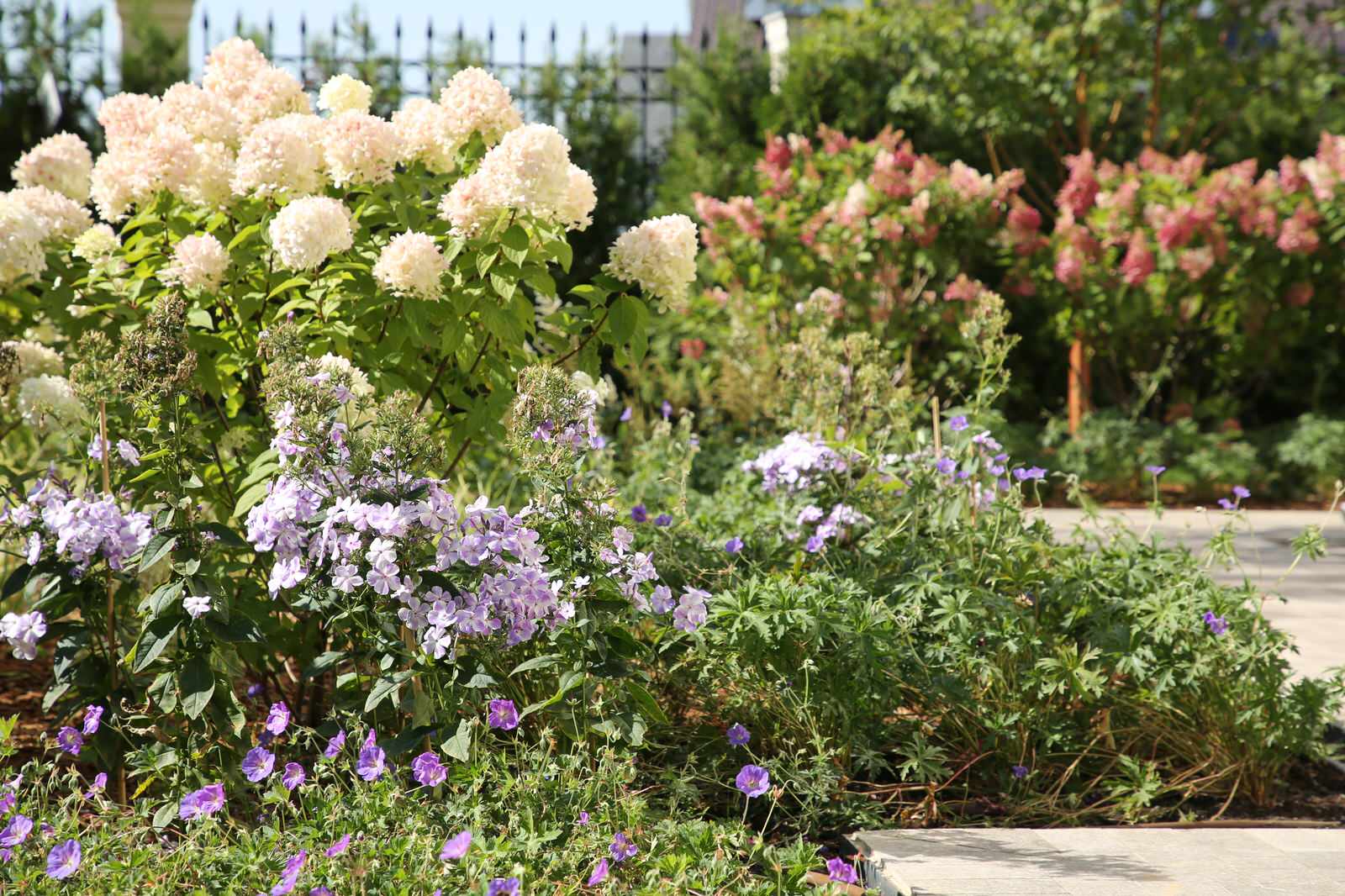 "Новорижский парк"