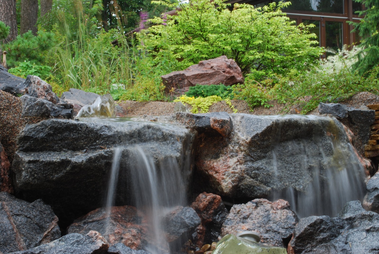 Фоновое изображение профиля Аквилегия