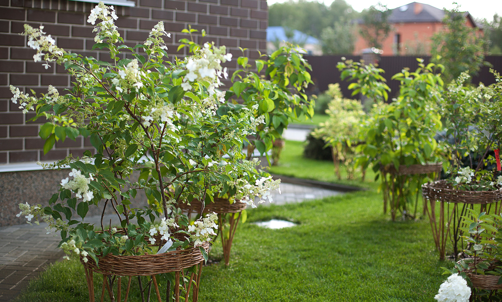 Вавиловец 1