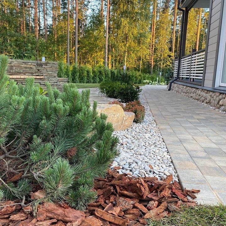 Обложка проекта: Солнечное