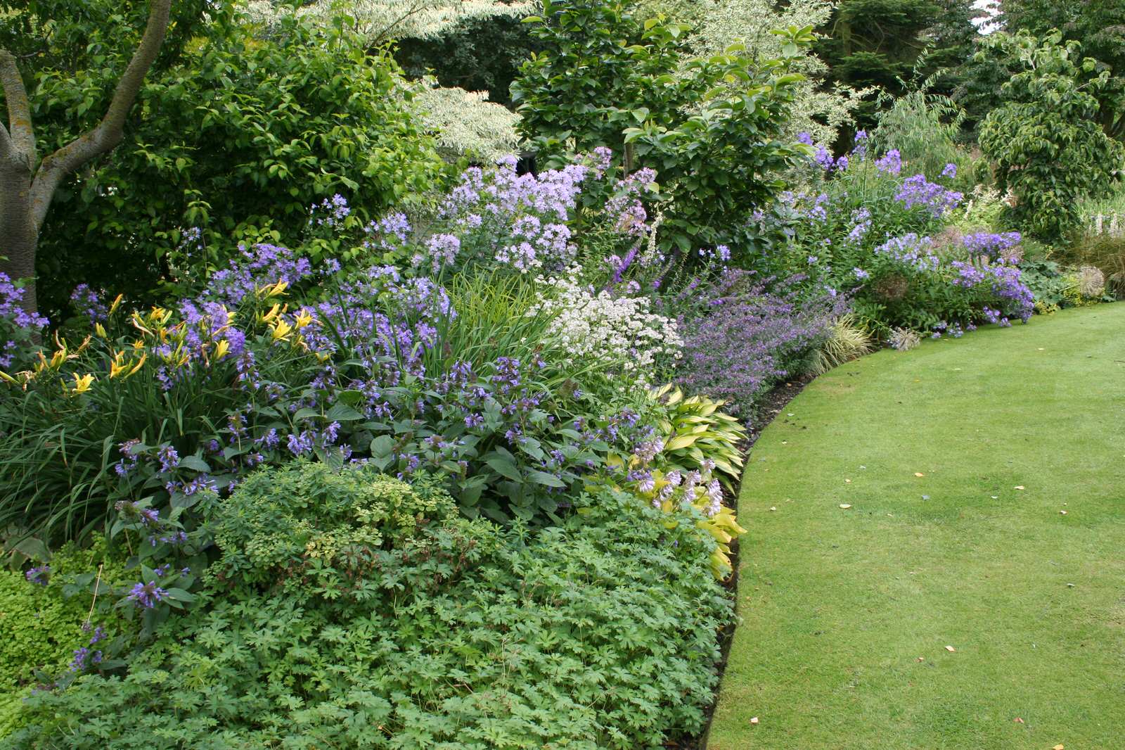 Миксбордер. Основные правила формирования цветочных композиций