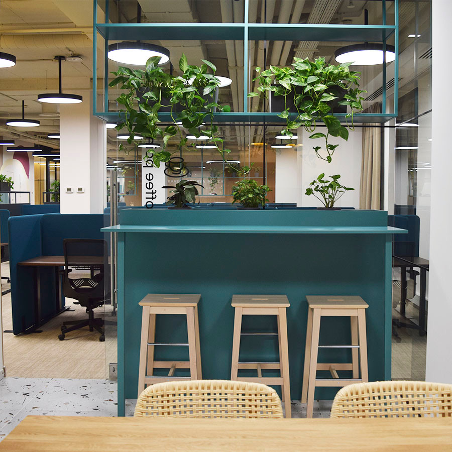 Озеленение помещения