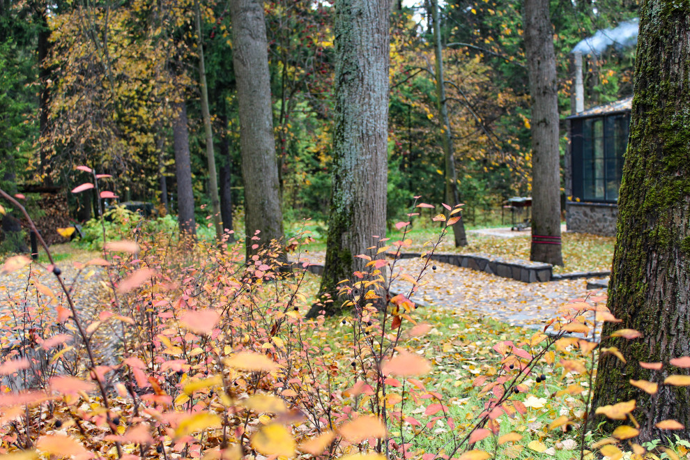 Генеральские дачи