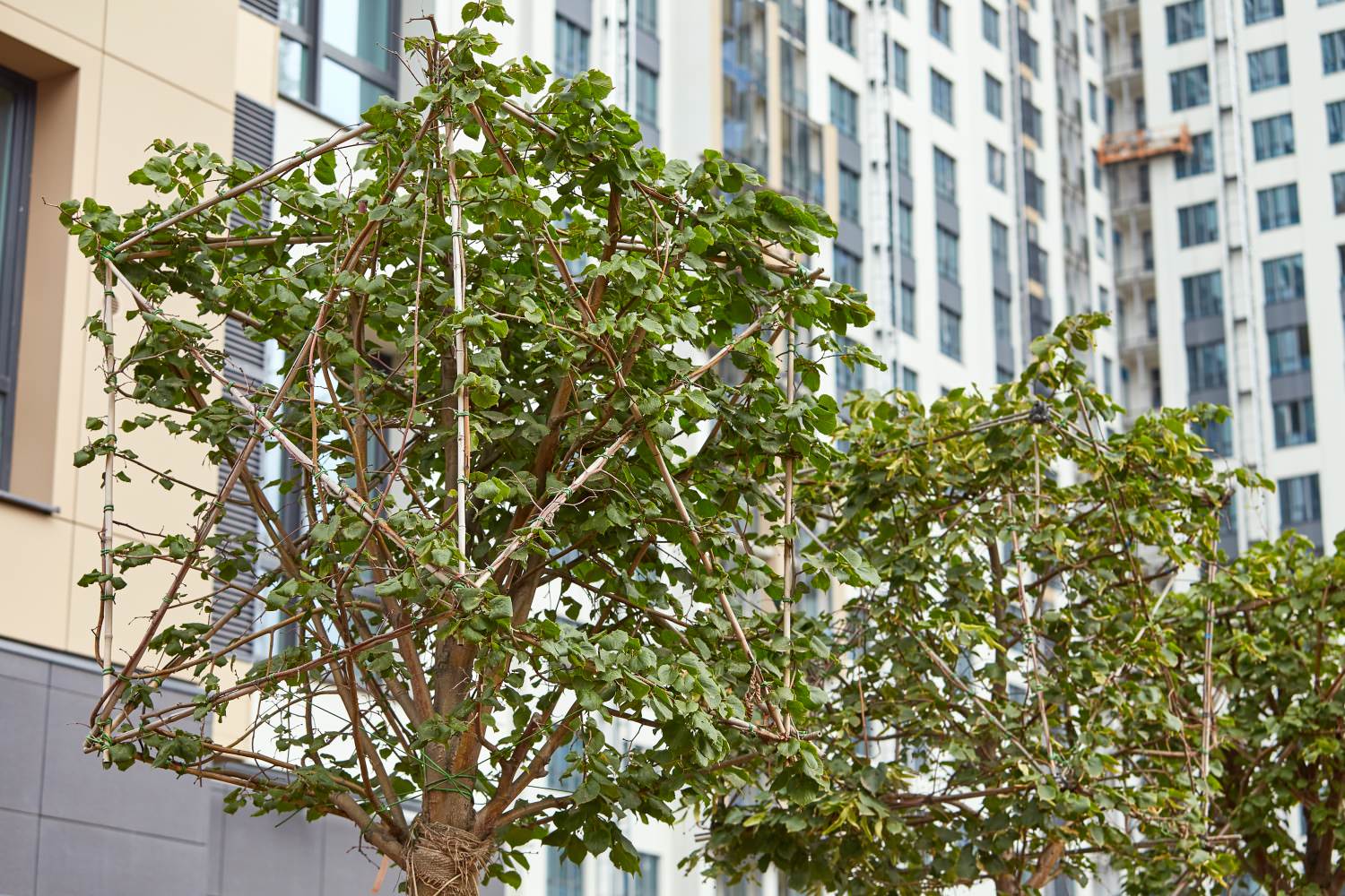 ЖК "Макаровский квартал"