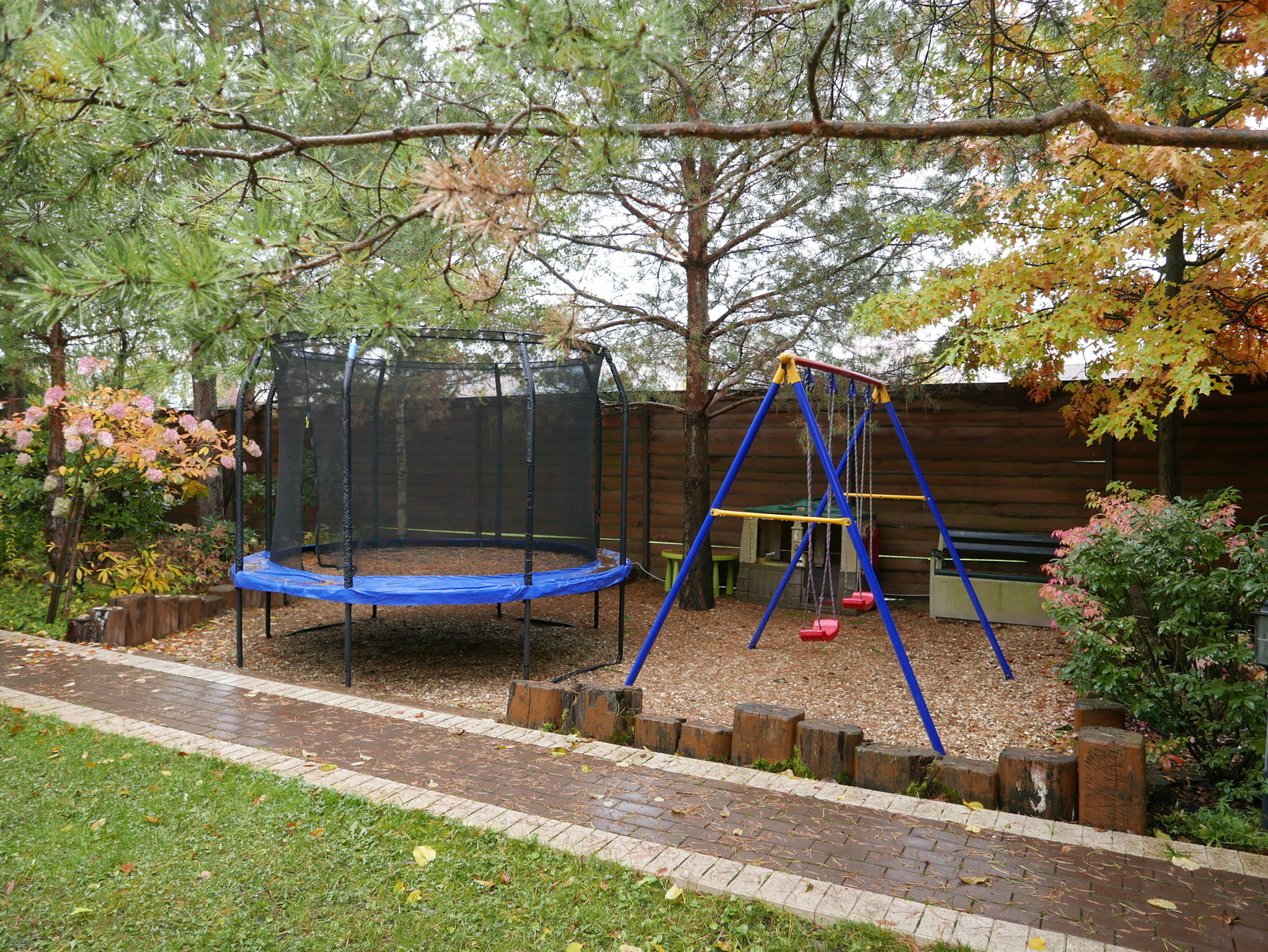 Буйство красочных форм в осеннем саду