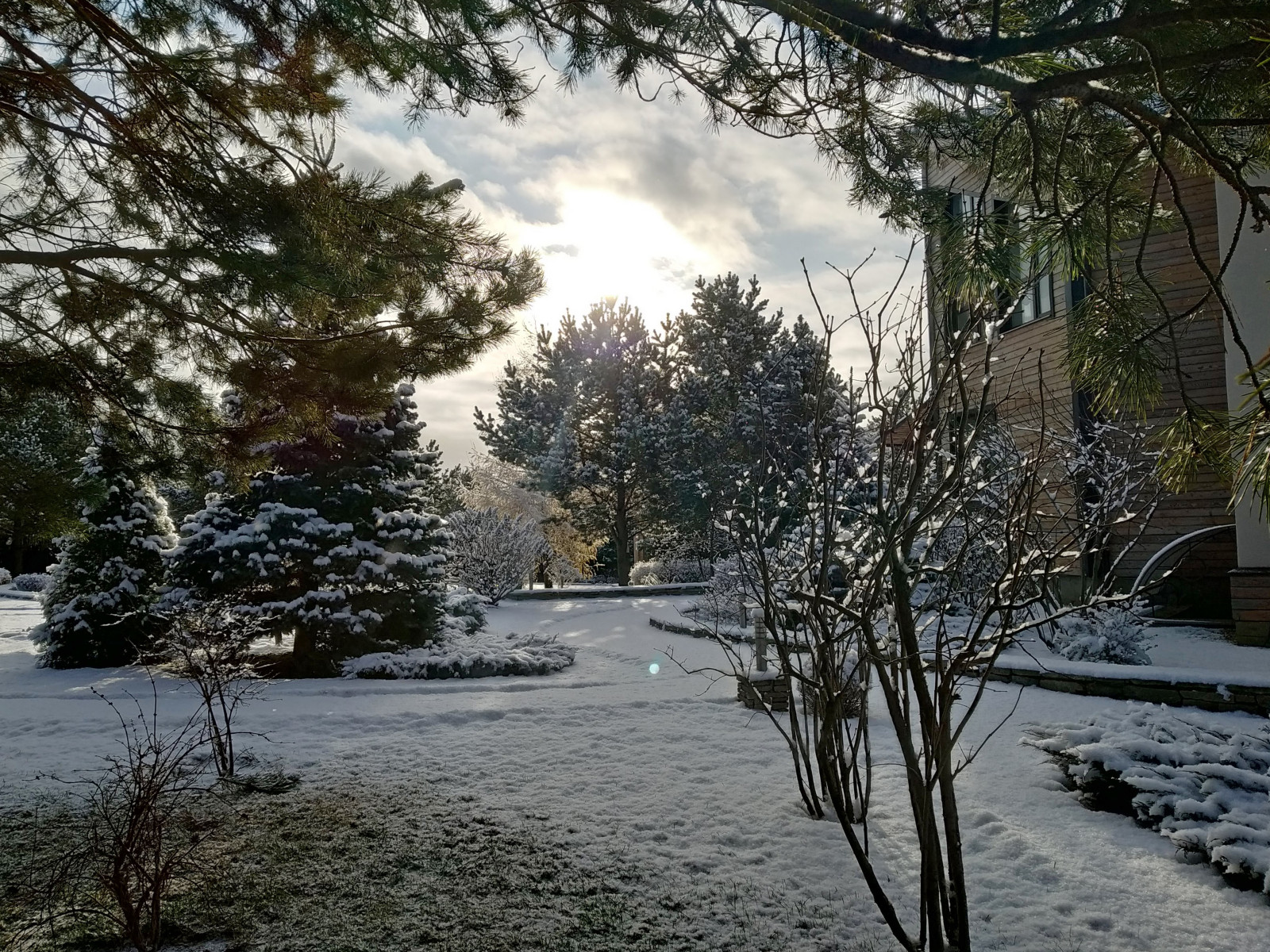 Обложка проекта: Зима пришла