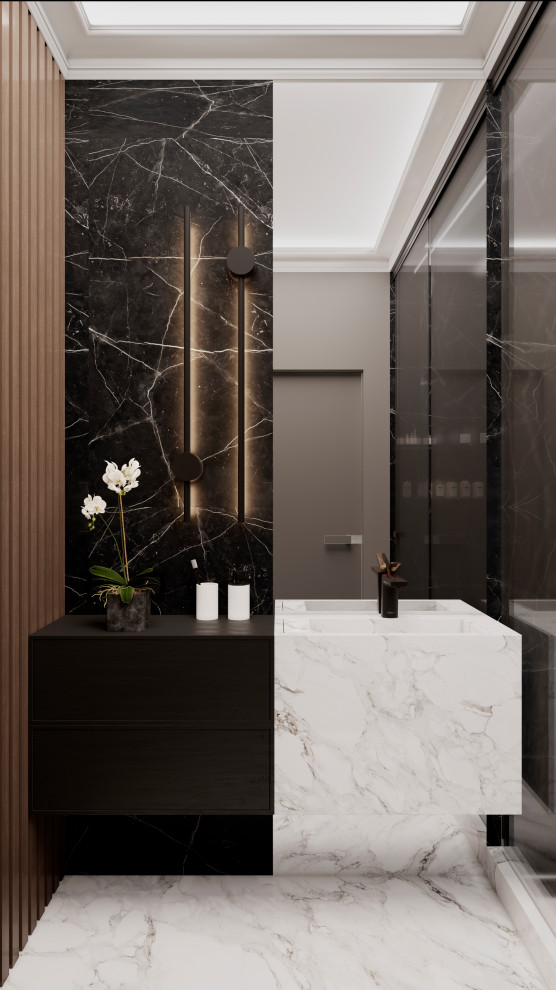 Проект Вёшки